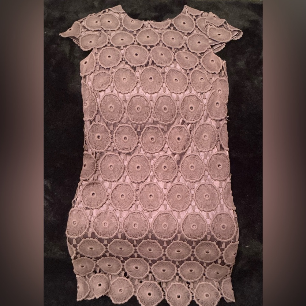 Suzy Chin for Maggy Boutique Lace Overlay Shift Dress Size 4P